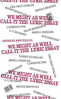 We Might As Well Call It the Lyric Essay book cover