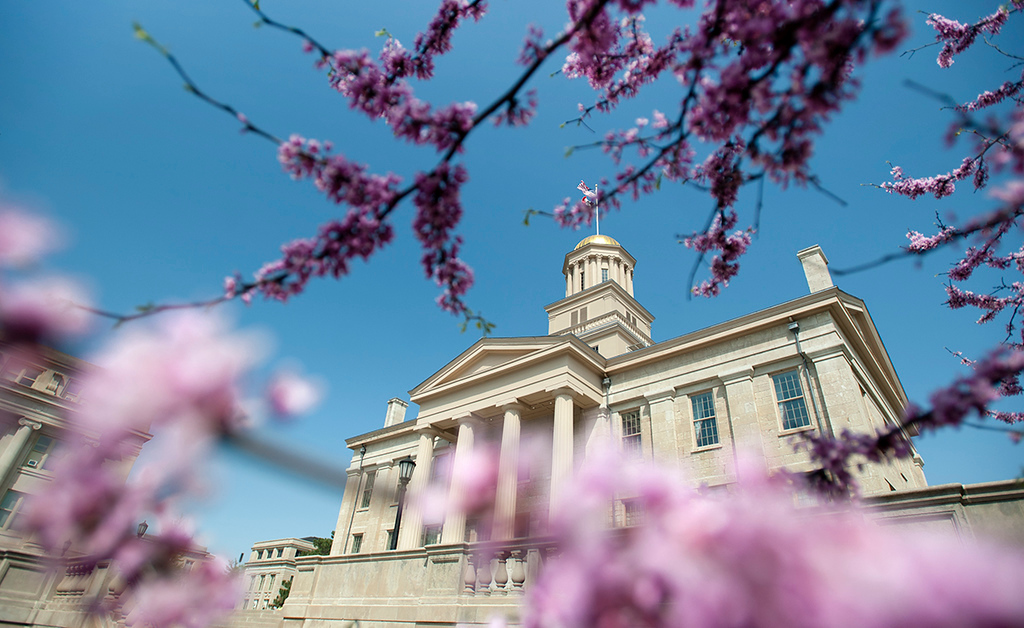 a photo of the Old Capitol building with pink flowering tree branches in the frame