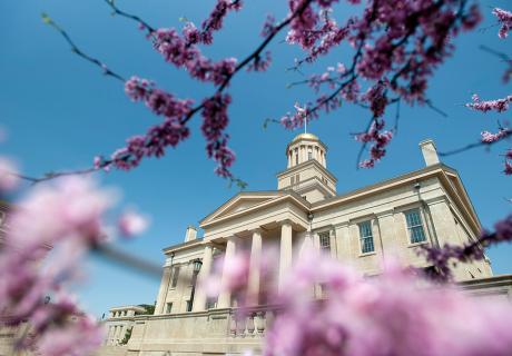 a photo of the Old Capitol building with pink flowering tree branches in the frame