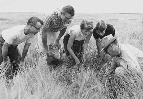 A photograph from Lakeside Lab, taken in the early 1960s, which shows students huddled around an instructor