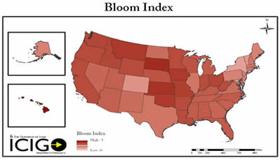 bloom index map