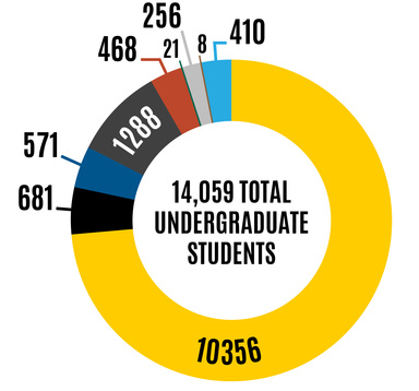 DEI chart for undergraduate student diversity