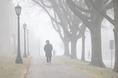 A student in a coat walks along a tree-lined sidewalk in the morning fog