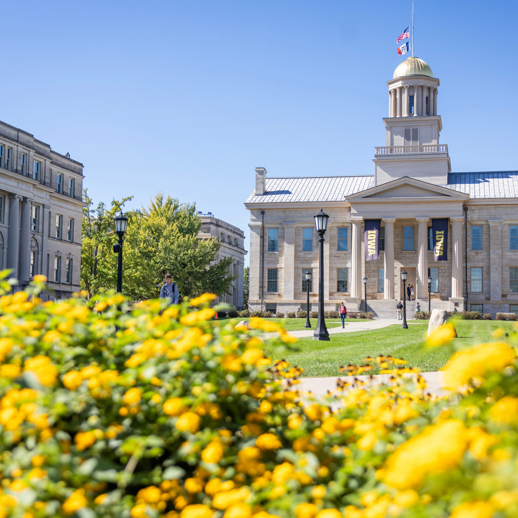 Old Capitol mall with yellow flowers in the foreground