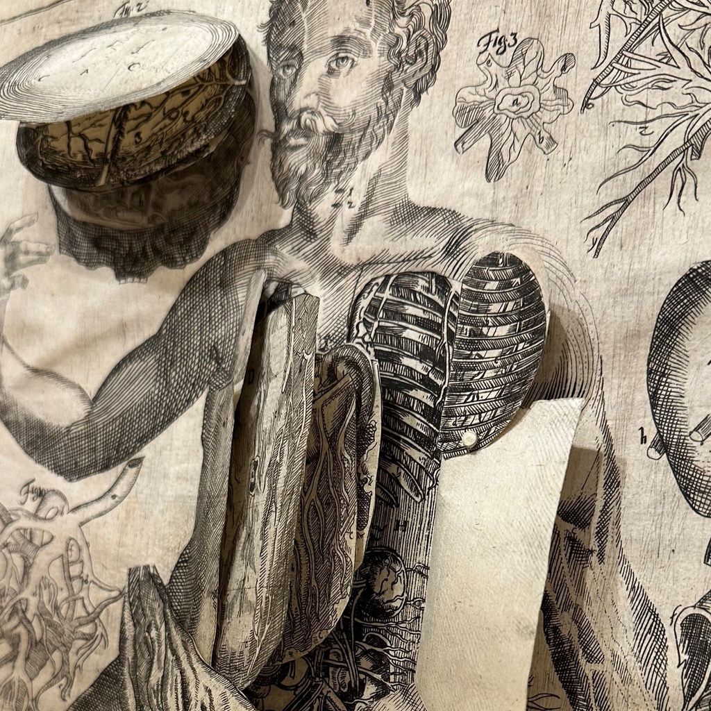 Musings on Folded, Flapped, Rolled, and Manipulated Paper promotional image