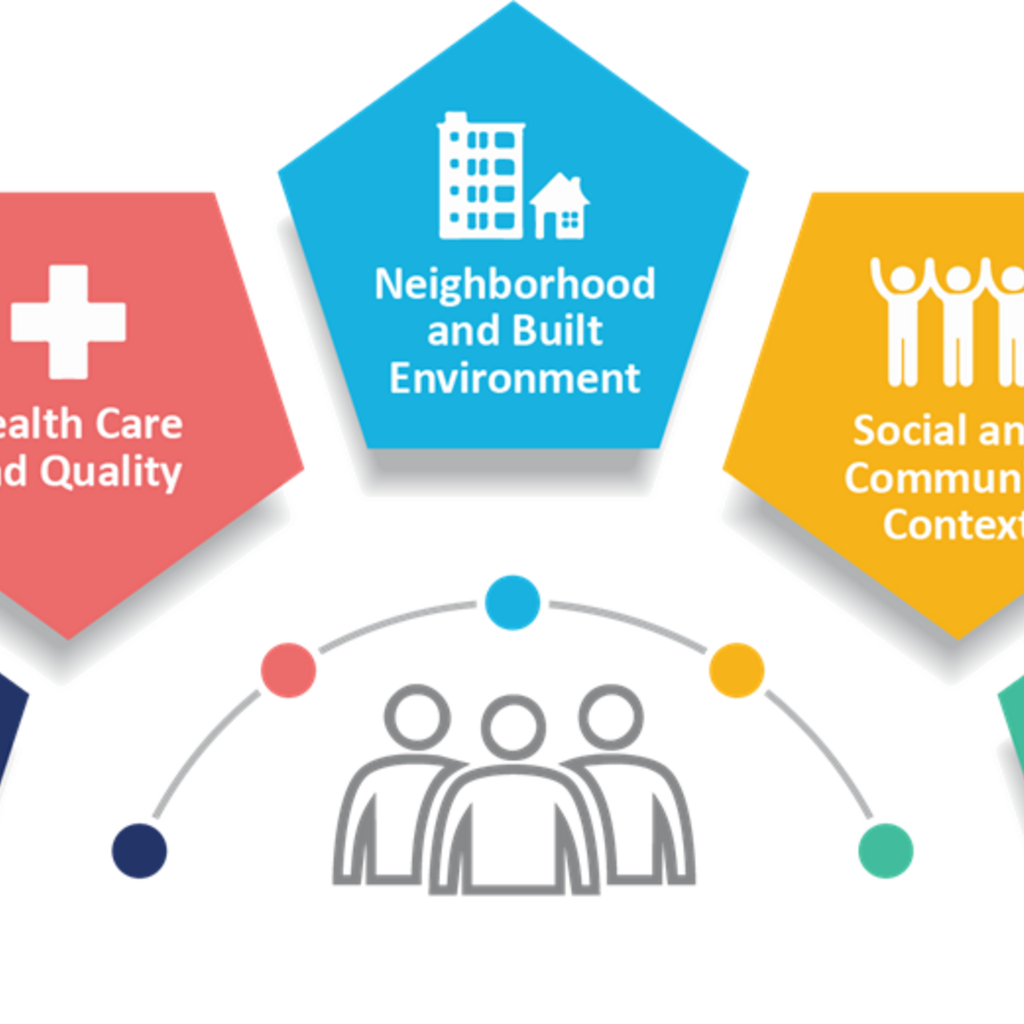 Social Determinants of Mental and Physical Health Micro Lab promotional image