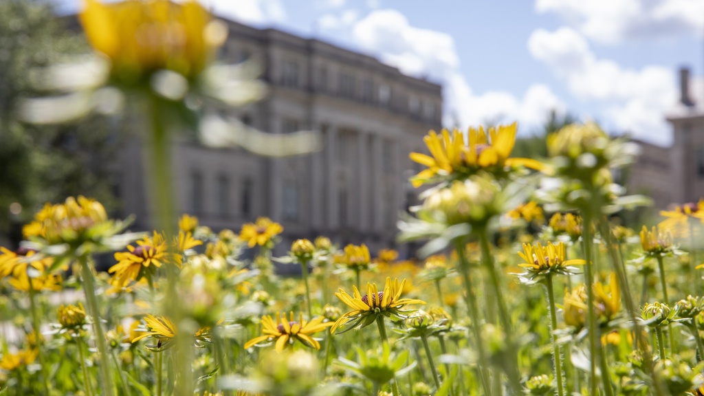 Schaeffer Hall in summer with flowers