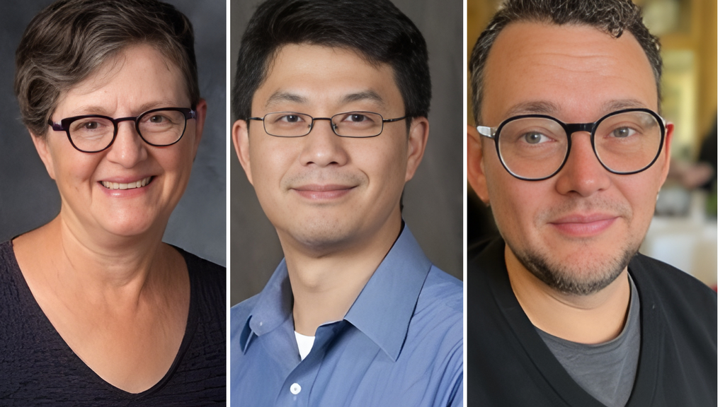 Elizabeth Heineman, Brian Lai, and Jan Steyn headshot photos.