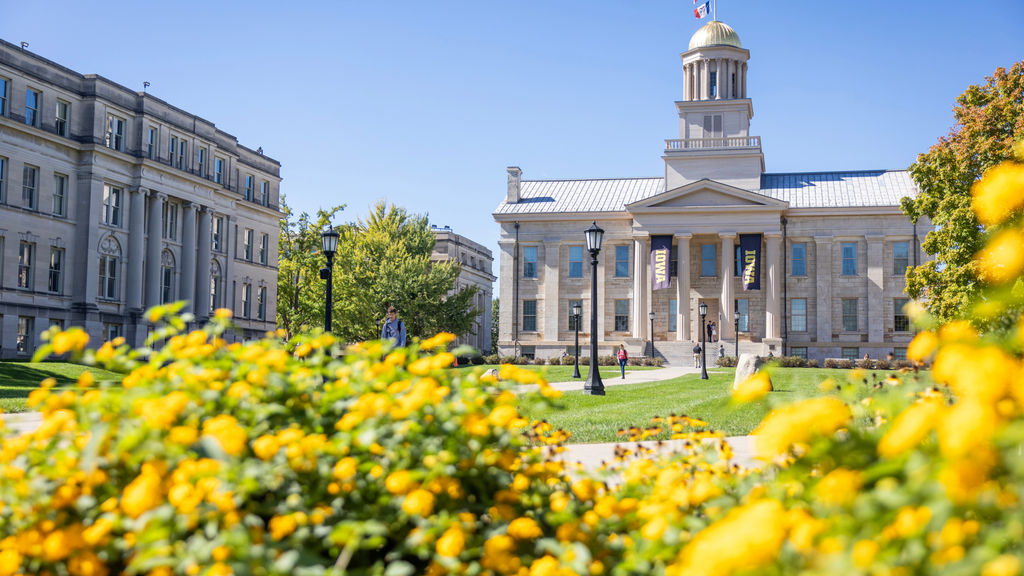 Old Capitol mall with yellow flowers in the foreground
