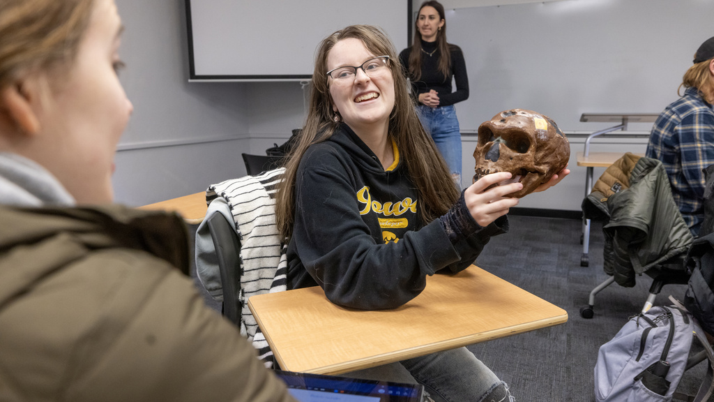 student in biological anthro class holding up a model of a skull