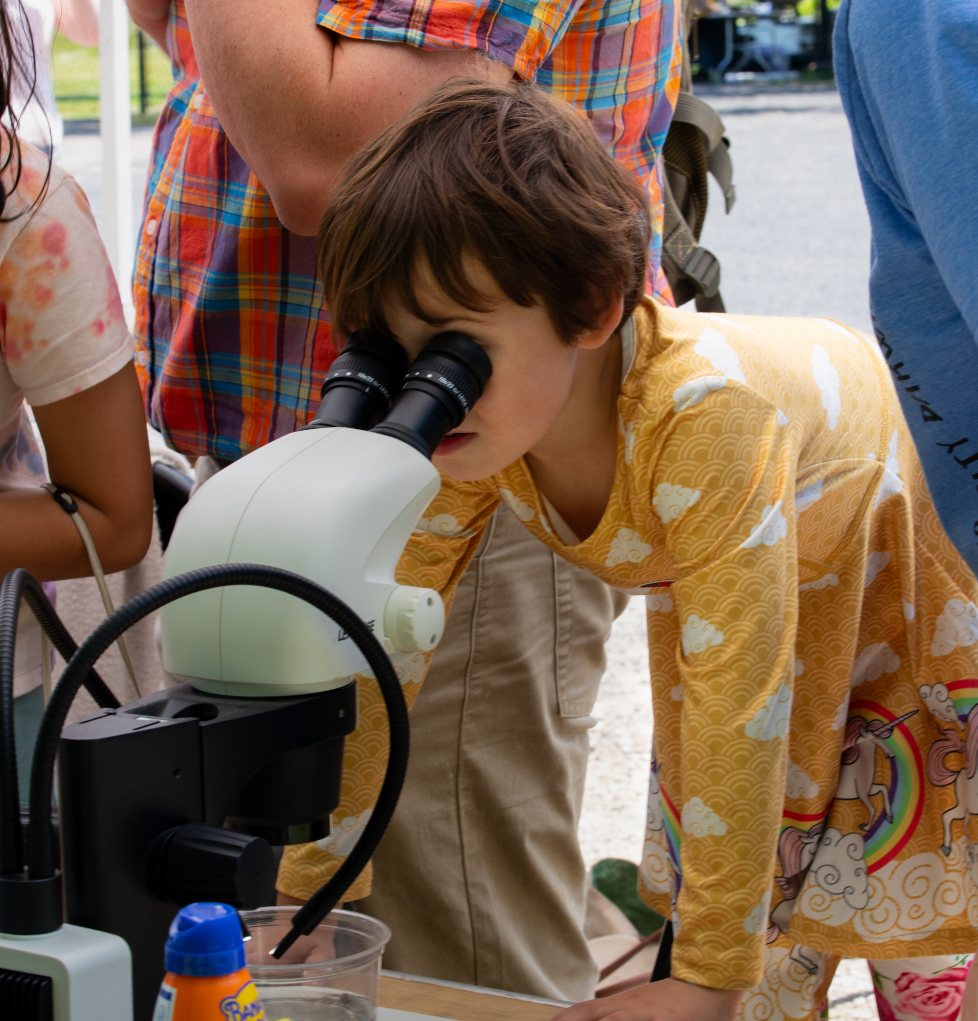 A child looks through a microscope during the third annual BioBlitz