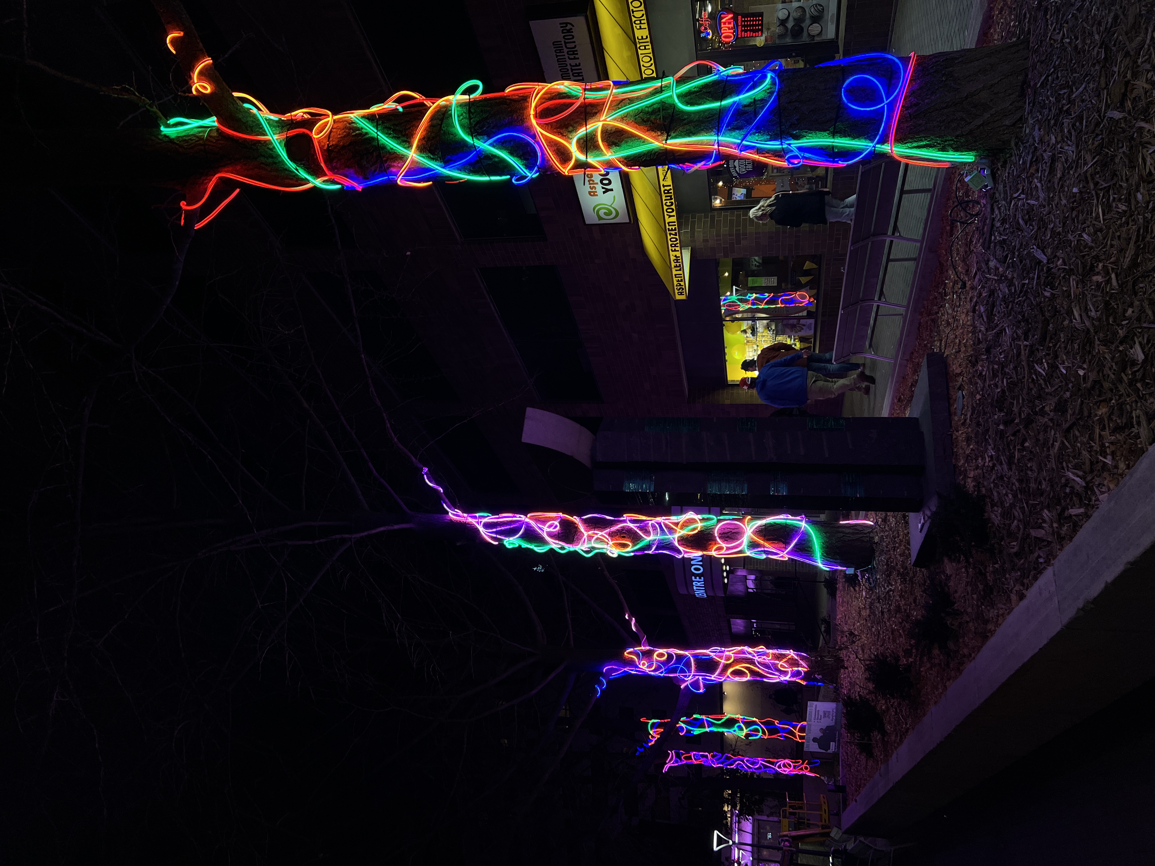 with “Scribble Tree” light installation in downtown Iowa City