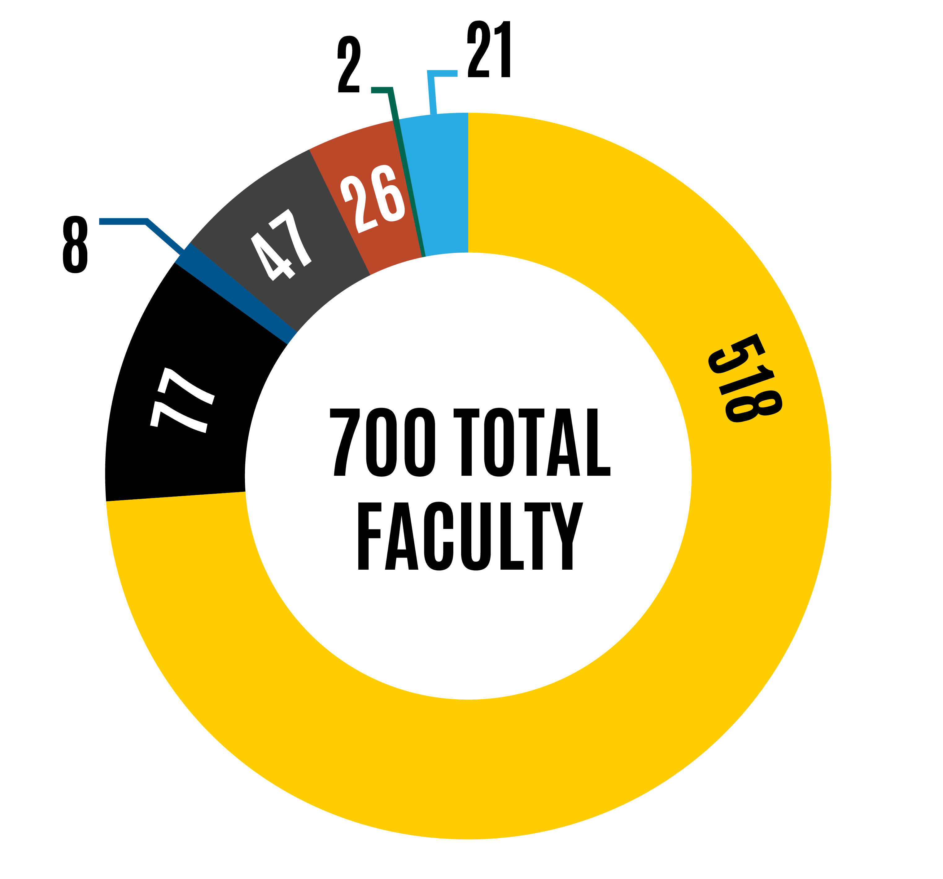 Faculty Diversity Graph – See Table Below for Data