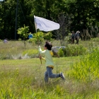 A child catches insects during the third annual BioBlitz