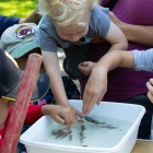 Children playing during the third annual BioBlitz