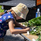 A child records what she's uncovered during the third annual BioBlitz