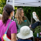 Visitors interact with Owls during the third annual BioBlitz