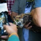 Visitors interact with Owls during the third annual BioBlitz